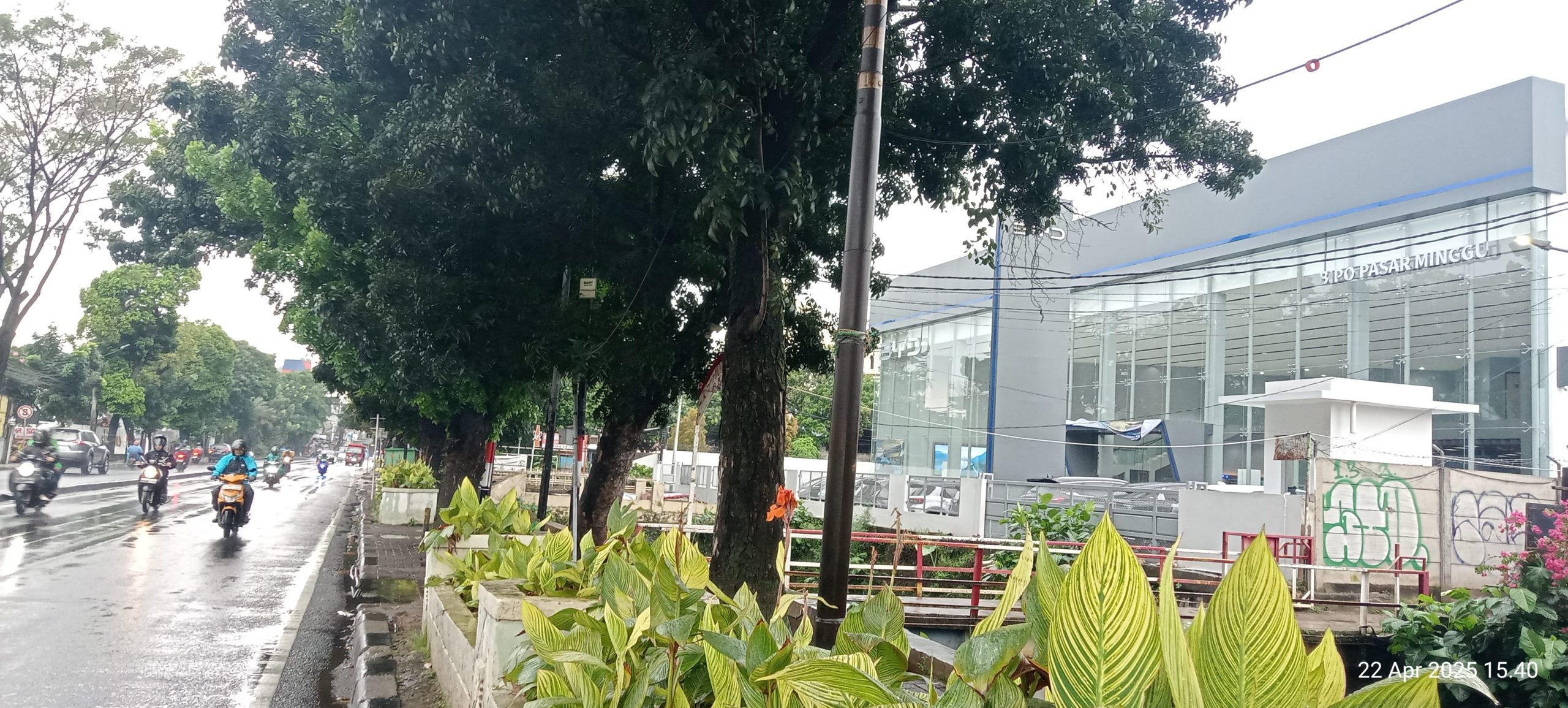 Temukan Dealer BYD Terdekat di Jakarta Selatan